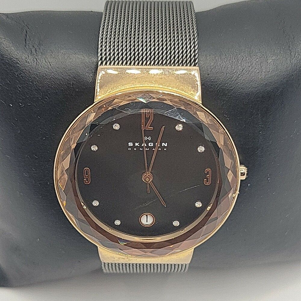 Skagen SKW2120 Women's Stainless Steel Mesh Analog Dial Quartz Wrist Watch AM613